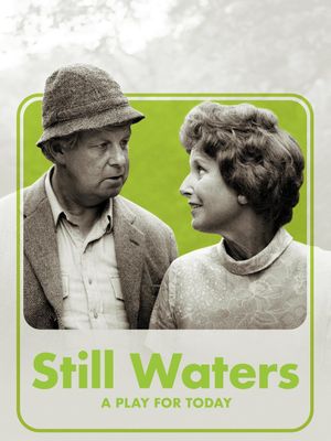 Still Waters's poster