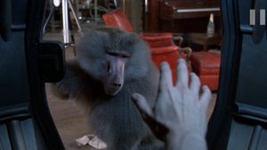 The Fly's poster