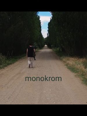 Monokrom's poster