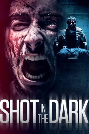 Shot in the Dark's poster