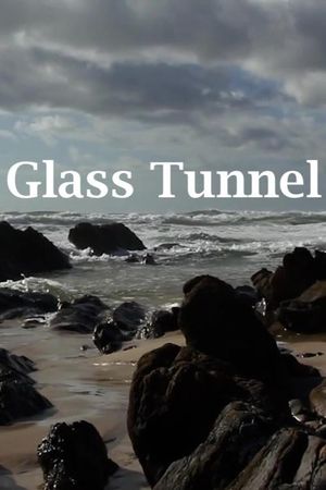Glass Tunnel's poster