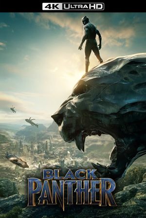 Black Panther's poster