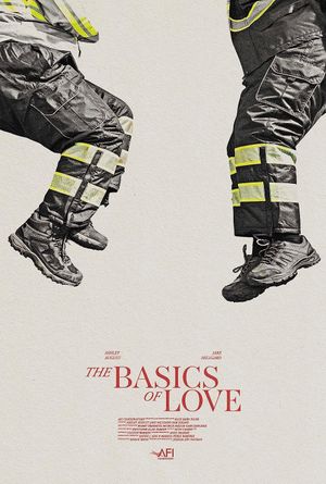 The Basics of Love's poster