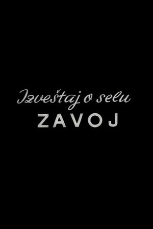 Report from the Zavoj Village's poster