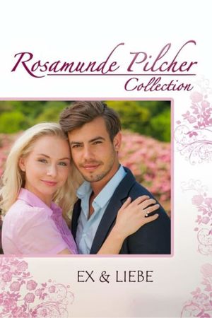 Rosamunde Pilcher: Ex und Liebe's poster