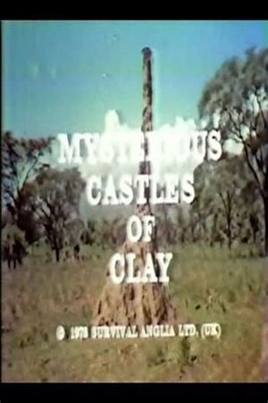 Mysterious Castles of Clay's poster