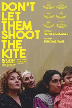 Don't Let Them Shoot the Kite's poster