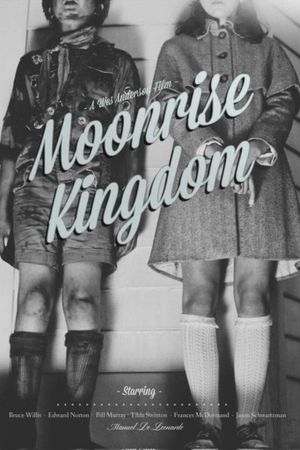 Moonrise Kingdom's poster