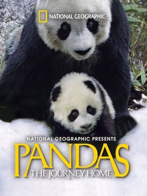 Pandas: The Journey Home's poster image