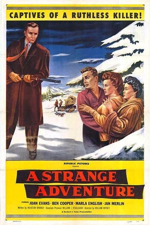 A Strange Adventure's poster
