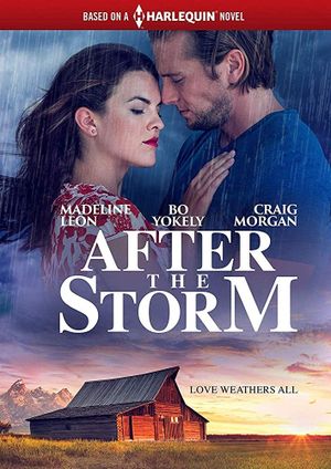 After the Storm's poster
