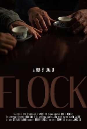 Flock's poster image