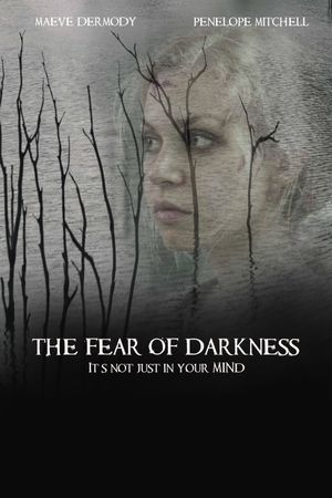 The Fear of Darkness's poster