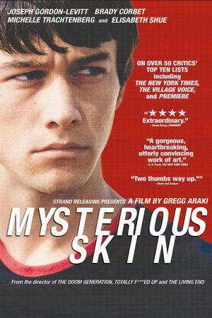 Mysterious Skin's poster