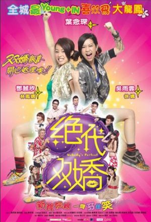 Nobody's Perfect's poster