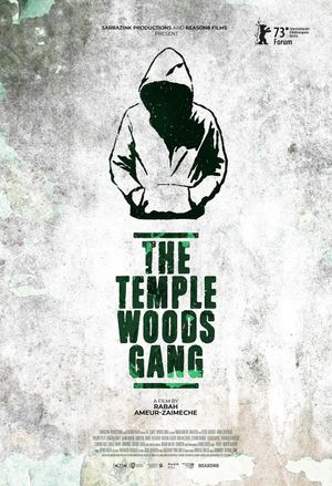 The Temple Woods Gang's poster