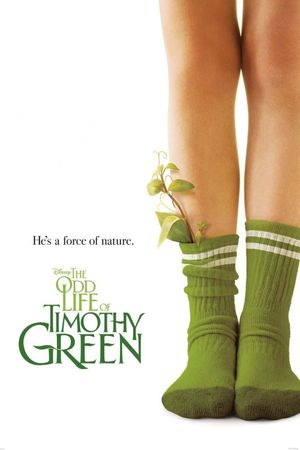 The Odd Life of Timothy Green's poster image