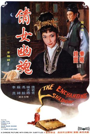 The Enchanting Shadow's poster