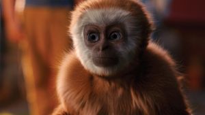 Monky's poster