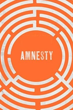 Amnesty's poster