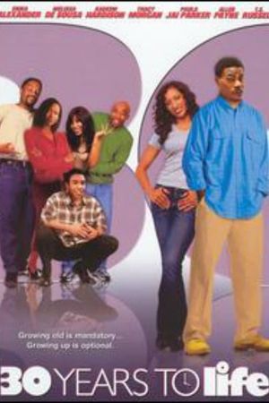 30 Years to Life's poster