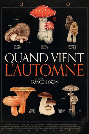 When Fall Is Coming's poster