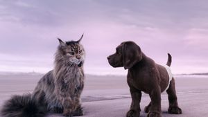 Cat and Dog's poster