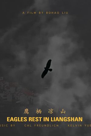 Eagles Rest in Liangshan's poster image