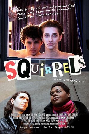 Squirrels's poster