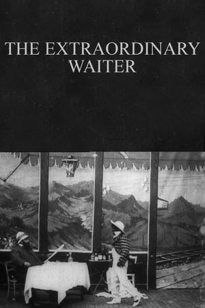 The Extraordinary Waiter's poster