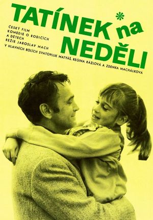 Tatínek na nedeli's poster