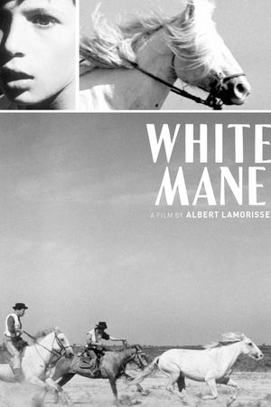 White Mane's poster