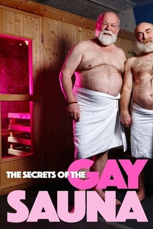 Secrets of the Gay Sauna's poster