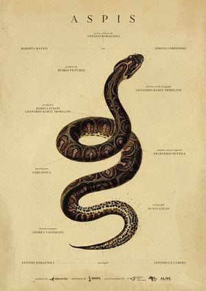 Aspis's poster
