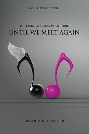 Until We Meet Again's poster