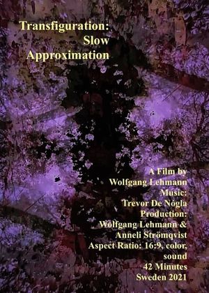 Transfiguration: Slow Approximation's poster