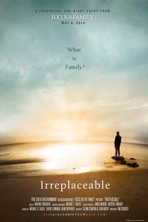 Irreplaceable's poster