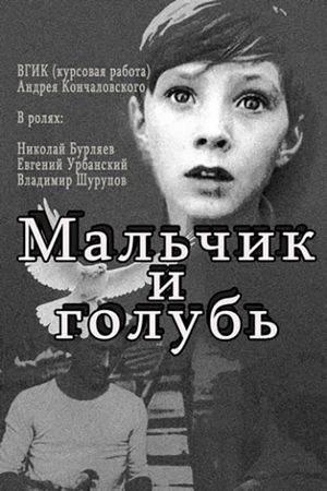 The Boy and the Pigeon's poster