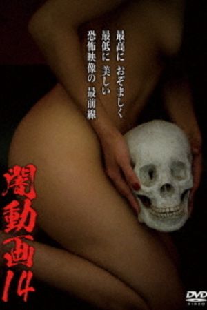 Tokyo Videos of Horror 14's poster