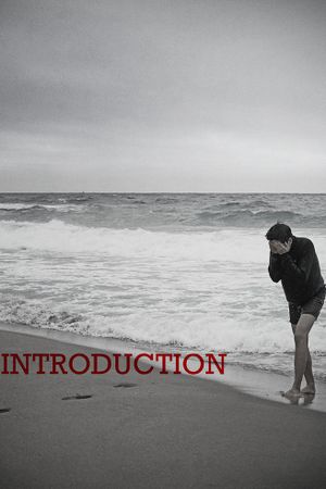 Introduction's poster