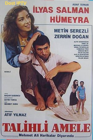 Talihli Amele's poster