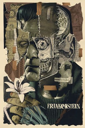 Frankenstein's poster