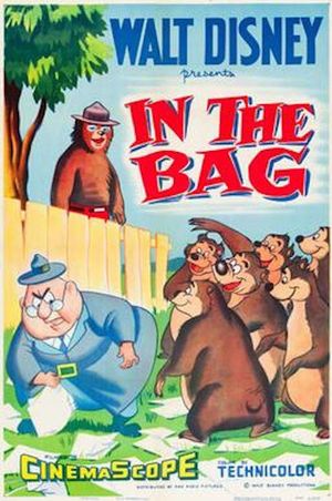 In the Bag's poster