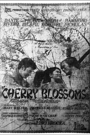 Cherry Blossoms's poster image