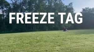 Freeze Tag's poster