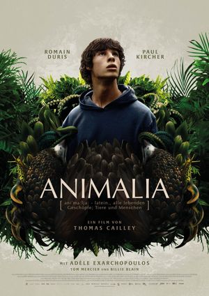Animalia's poster