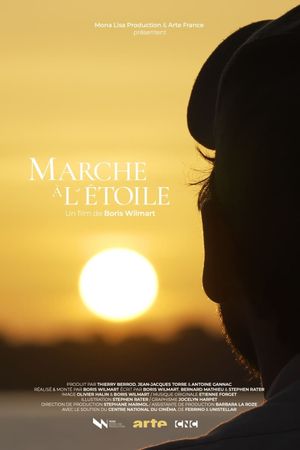 Marche à l'étoile : La Diagonale sud-américaine's poster