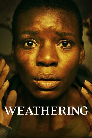 Weathering's poster