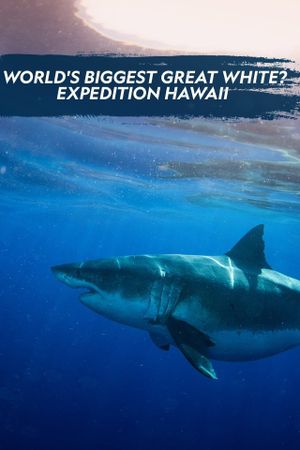 World's Biggest Great White?'s poster