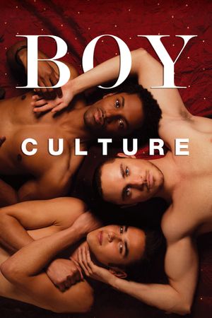 Boy Culture's poster